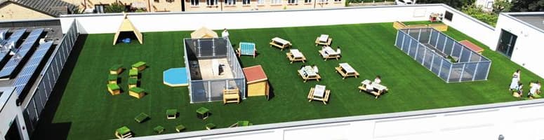 Have you seen the library in the sky?